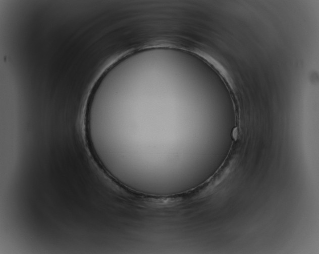 X0000100340949200806191021