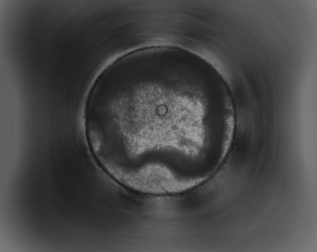 X0000100340950200806191021