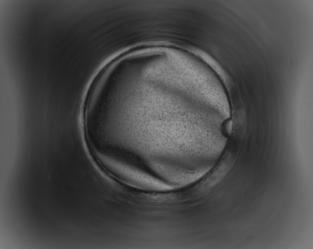 X0000100340951200806191021