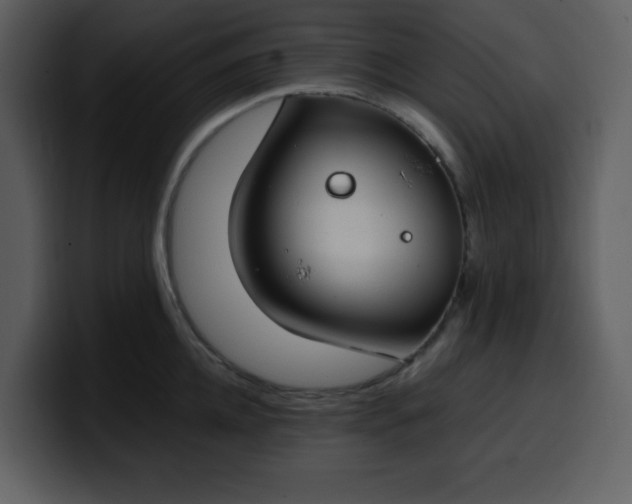 X0000100340952200806191021