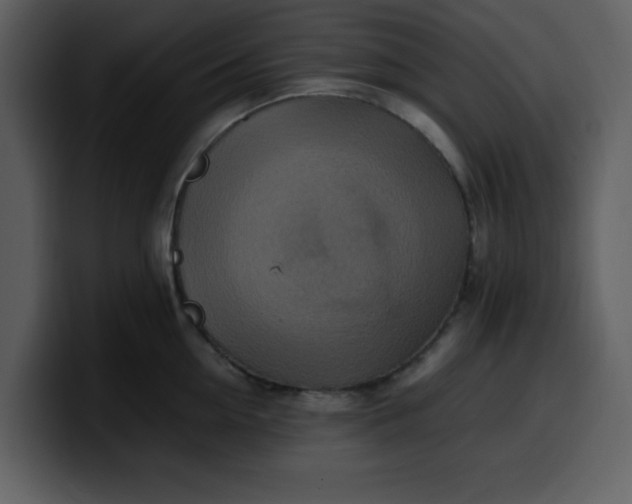 X0000100340954200806191021