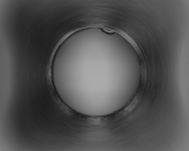 X0000100340956200806191022