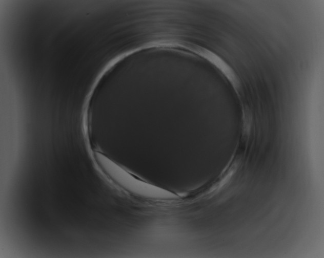 X0000100340958200806191022