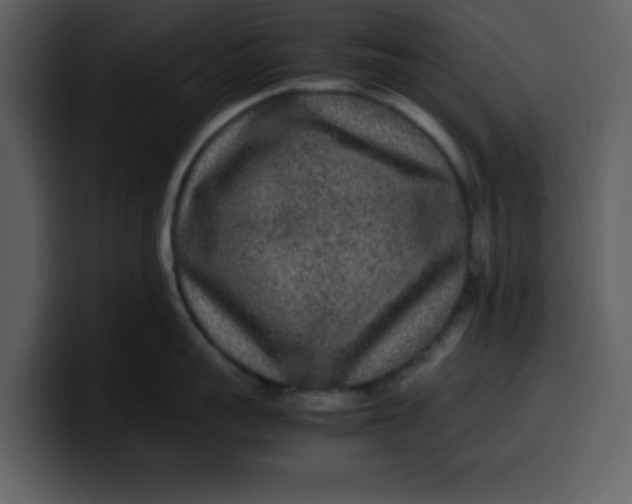 X0000100340959200806191022