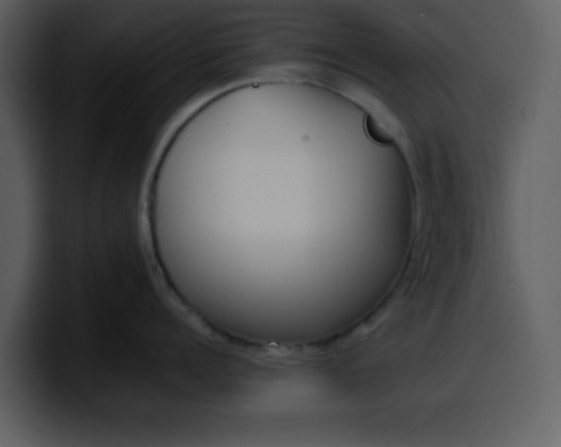 X0000100340960200806191022