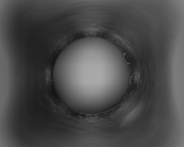 X0000100340964200806191021