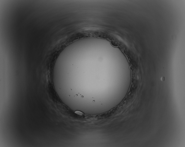 X0000100340965200806191021