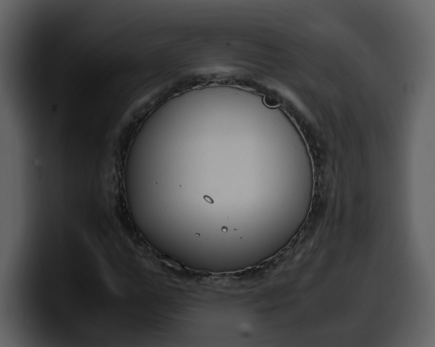 X0000100340967200806191021