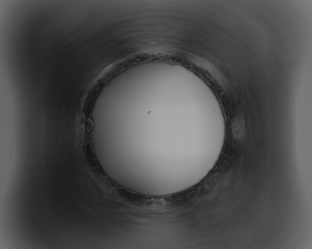 X0000100340968200806191021