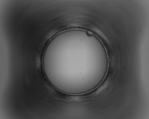 X0000100340969200806191021