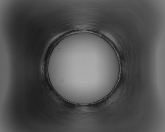 X0000100340971200806191021