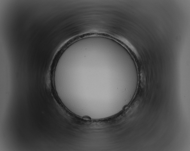 X0000100340972200806191021