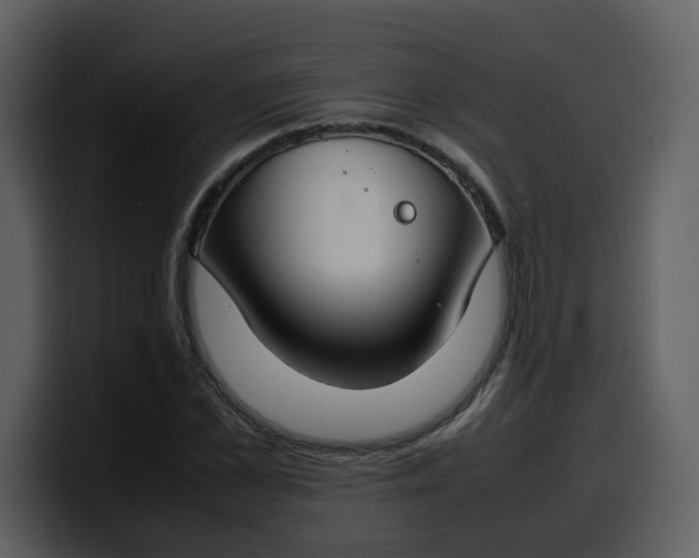 X0000100340973200806191021