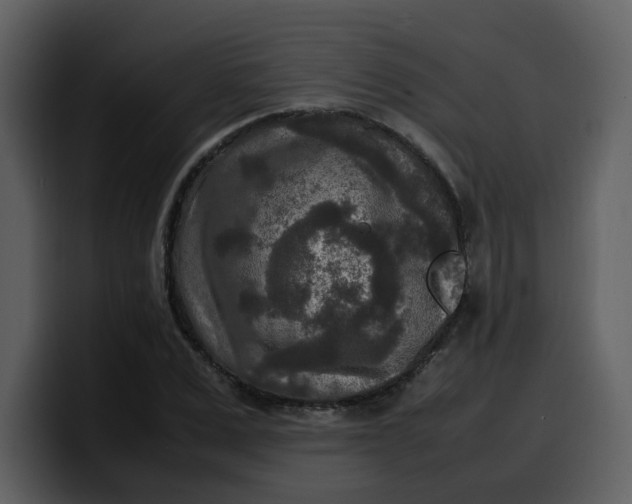 X0000100340975200806191021