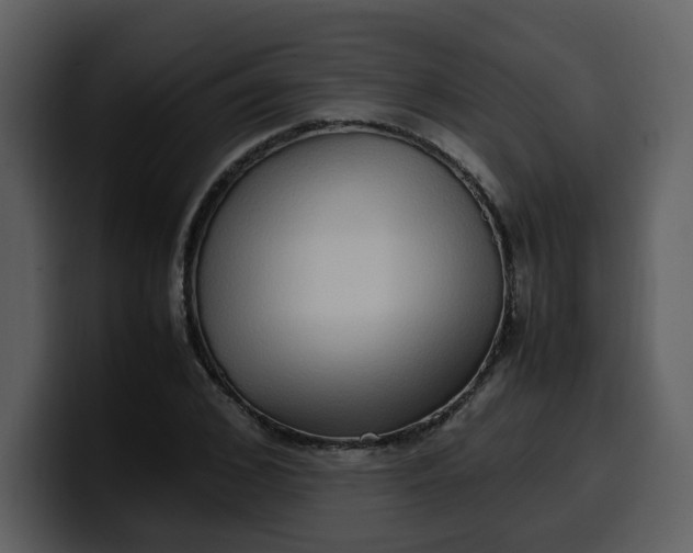 X0000100340976200806191021