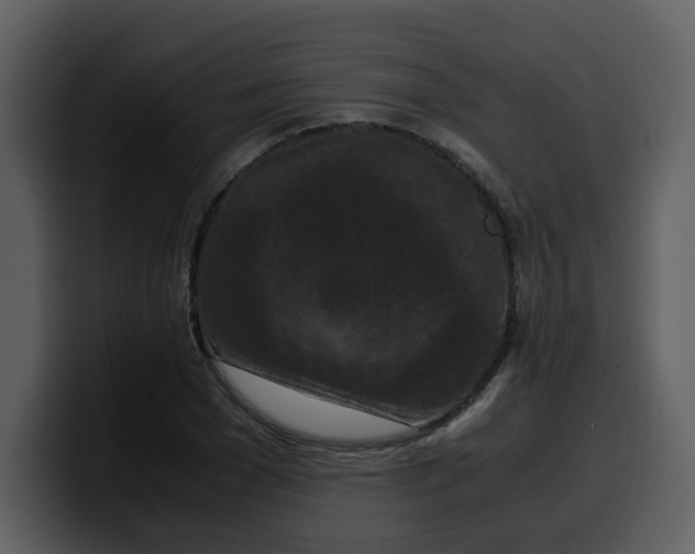 X0000100340977200806191021