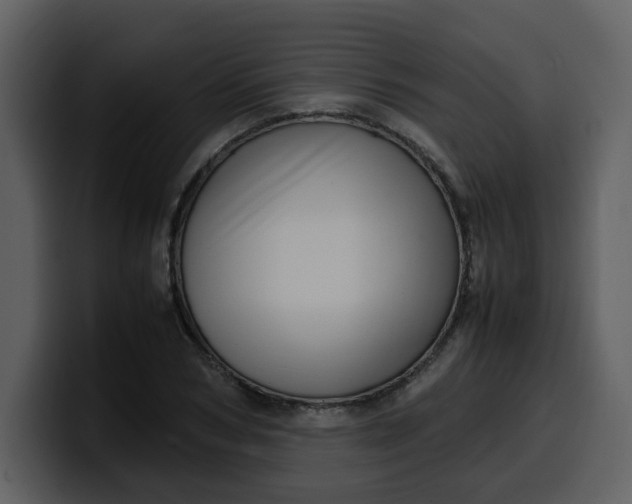 X0000100340978200806191021