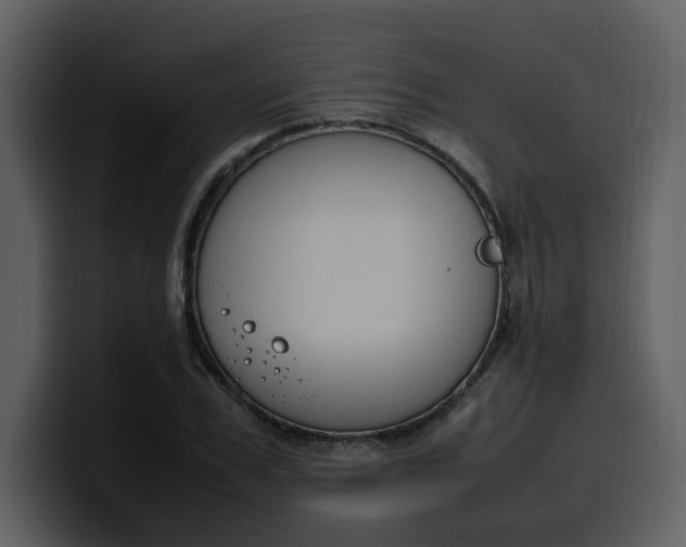 X0000100340979200806191021