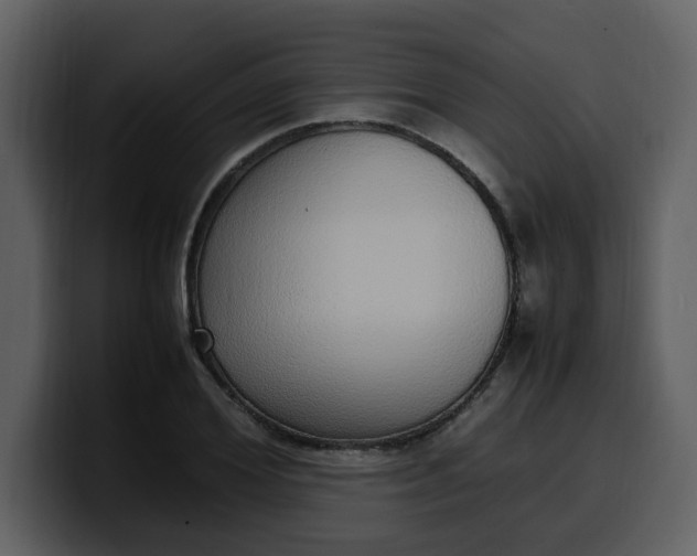 X0000100340980200806191021