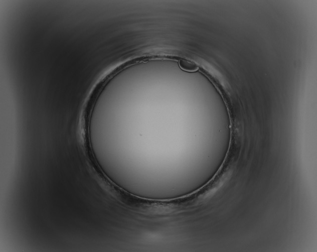 X0000100340981200806191021