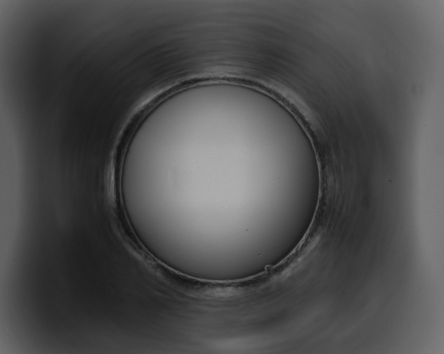 X0000100340982200806191021