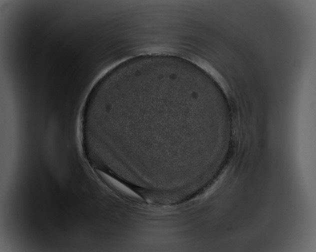 X0000100340983200806191021