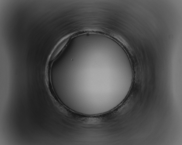 X0000100340984200806191021