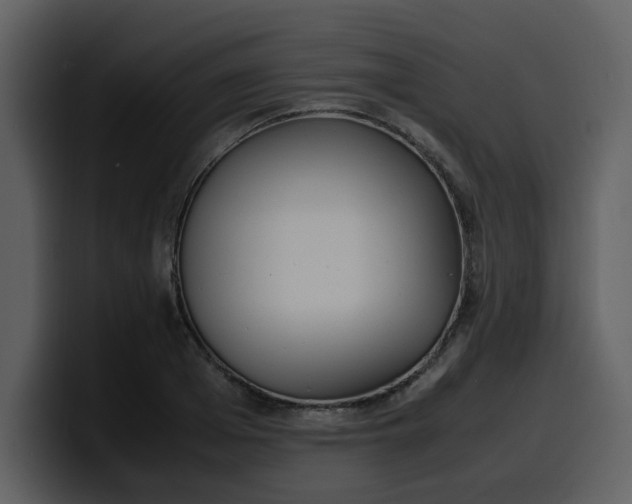 X0000100340985200806191021