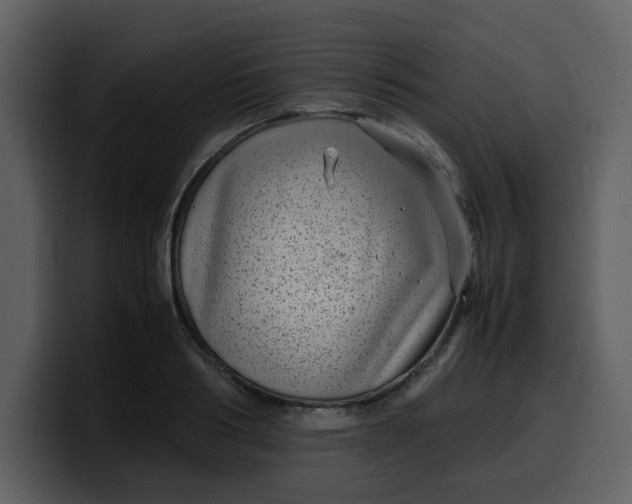 X0000100340986200806191021