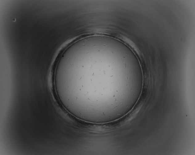 X0000100340987200806191021