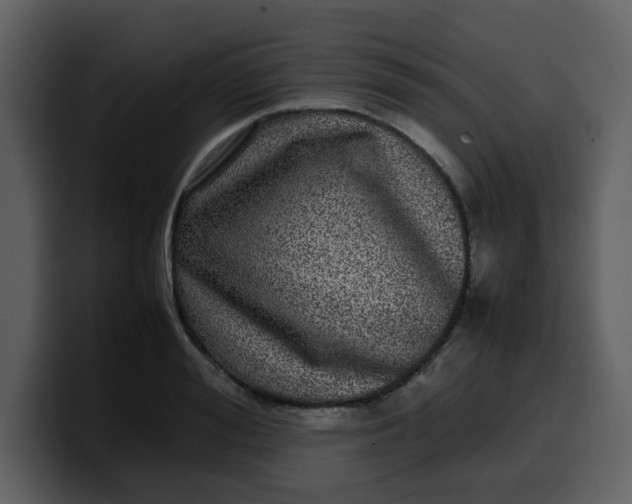 X0000100340988200806191021