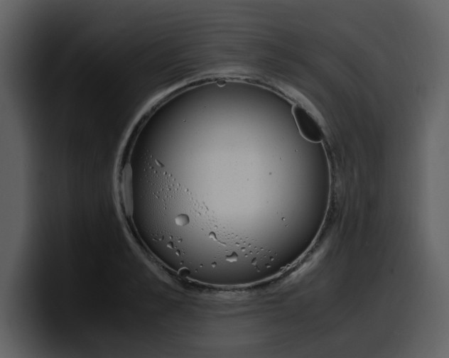 X0000100340989200806191021