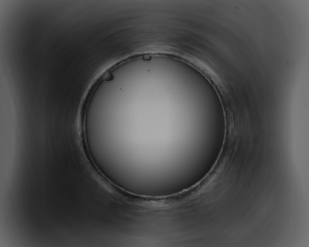 X0000100340990200806191021