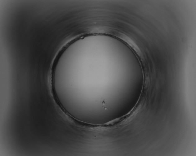 X0000100340992200806191020