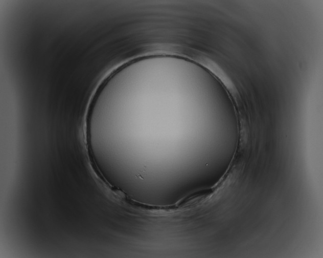 X0000100340996200806191020