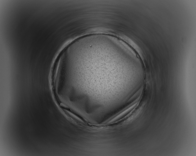 X0000100340997200806191020