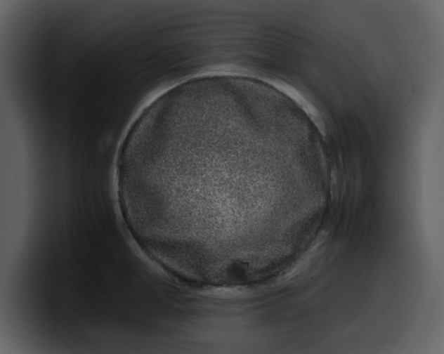 X0000100340998200806191020