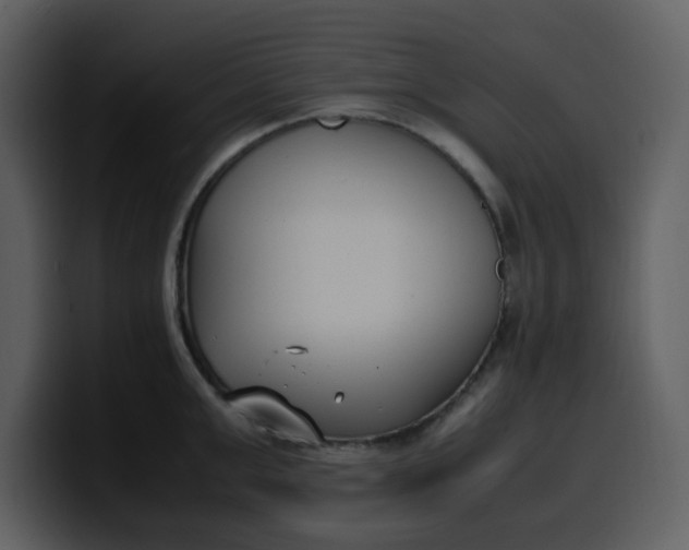 X0000100340999200806191020