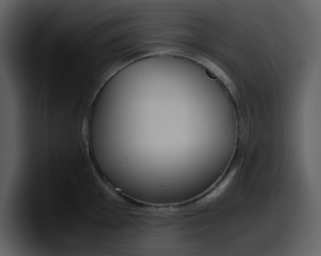 X0000100341001200806191020