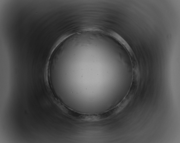 X0000100341002200806191020