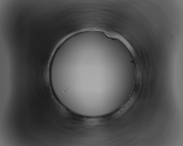 X0000100341004200806191020