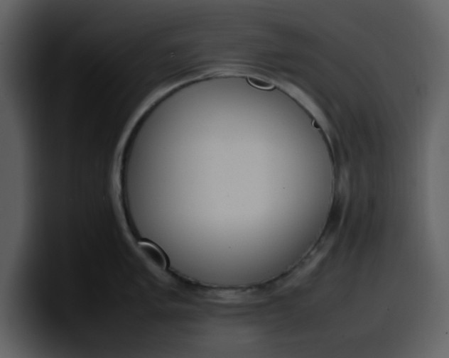 X0000100341005200806191020