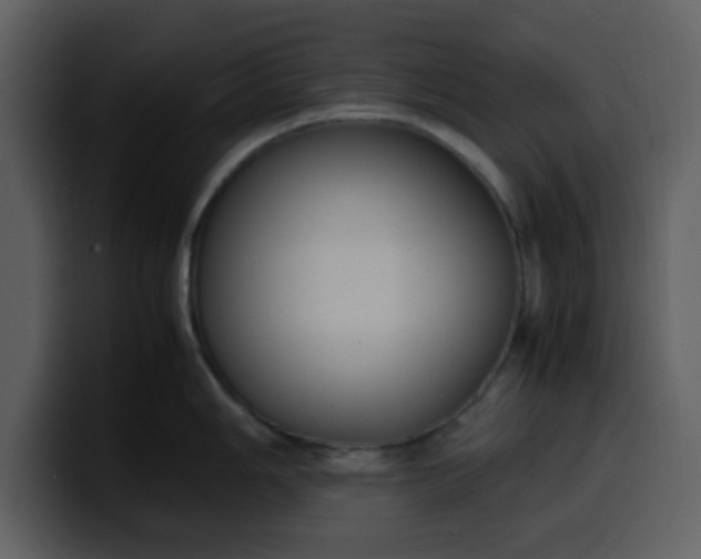 X0000100341006200806191020