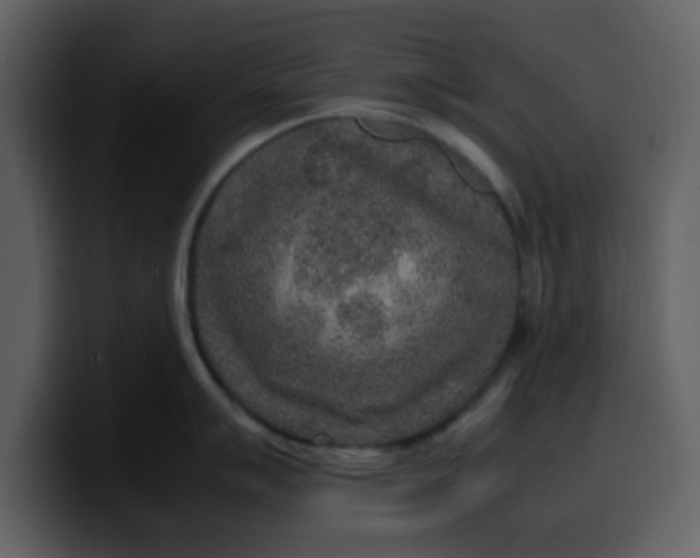 X0000100341007200806191020