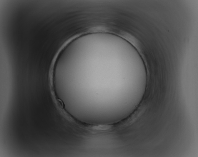 X0000100341008200806191020