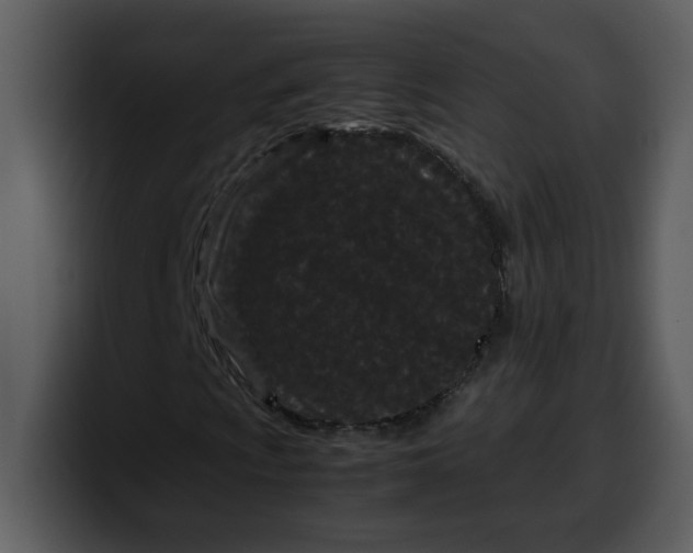 X0000100341009200806191020