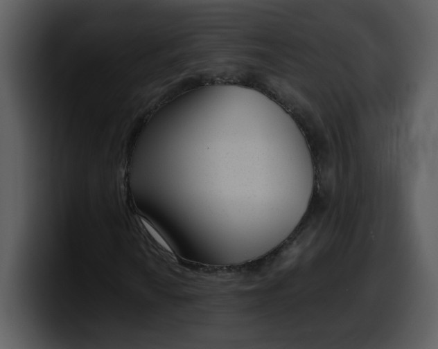 X0000100341010200806191020