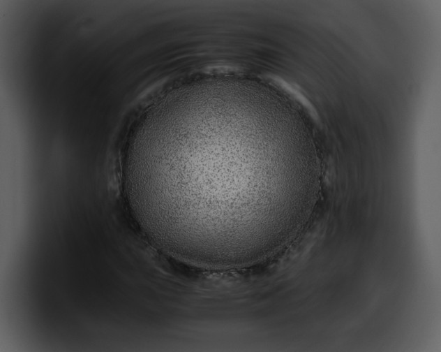 X0000100341015200806191020