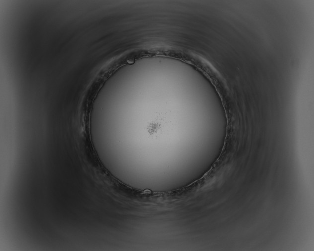 X0000100341016200806191020