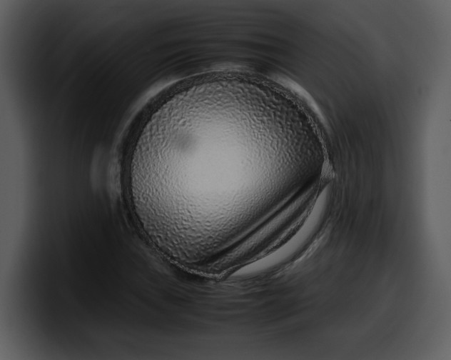 X0000100341019200806191020